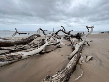 Scenic view of beach against sky