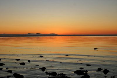 Scenic view of beach during sunset