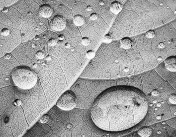 Full frame shot of water drops on land