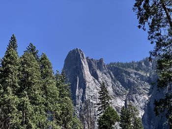 Low angle view of trees and mountains against clear blue sky