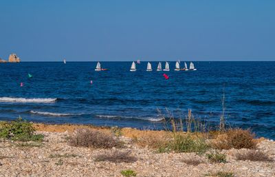 Scenic view of sea against clear sky