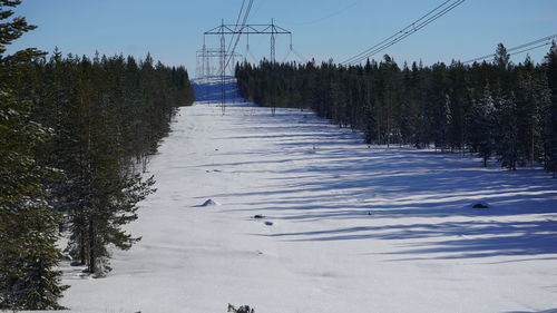 Snow covered land and trees against sky