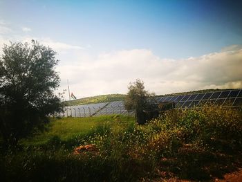 Scenic view of grassy field against sky