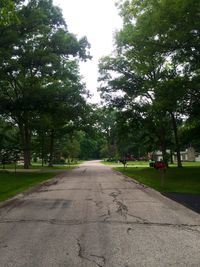 Road passing through forest