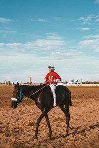 Young boy horse rider on field against sky