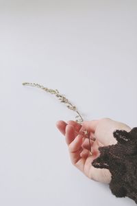 Close-up of woman holding hands over white background