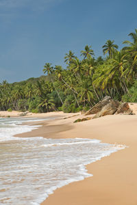 Scenic view of beach against sky