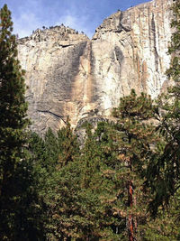 Trees on landscape against sky