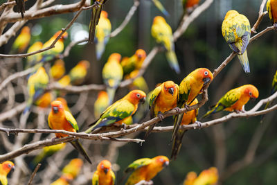 Bird perching on branch