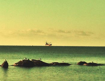 Scenic view of sea at sunset