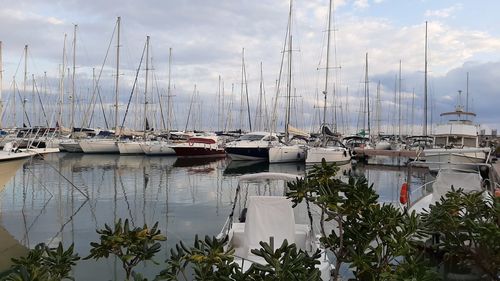 Boats in harbor