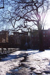 Snow covered trees in winter