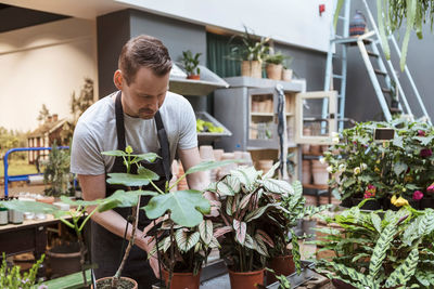 Male owner with potted plants at store