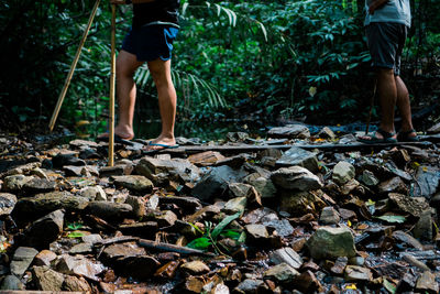 Low section of men walking on rocks in forest