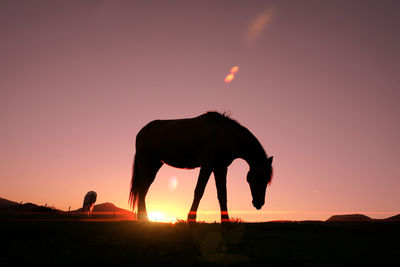 silhouette