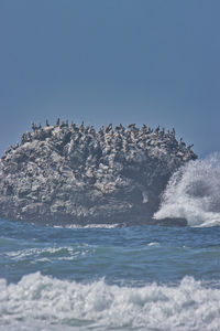 Scenic view of sea against clear sky