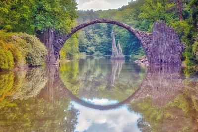 Reflection of trees in river