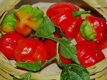 Close-up of fruits