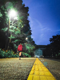 Rear view of man walking by illuminated trees against sky