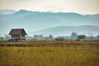 Scenic view of agricultural field against sky with rice field