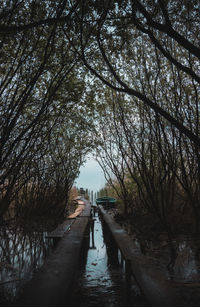 Man walking on footbridge amidst bare trees