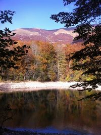 Scenic view of lake by trees against sky