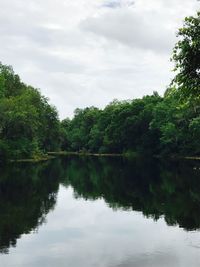 Reflection of trees in lake against sky