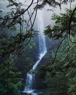 Close-up of waterfall against trees