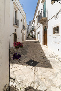 Potted plants on street amidst buildings