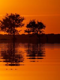 Silhouette tree by lake against romantic sky at sunset