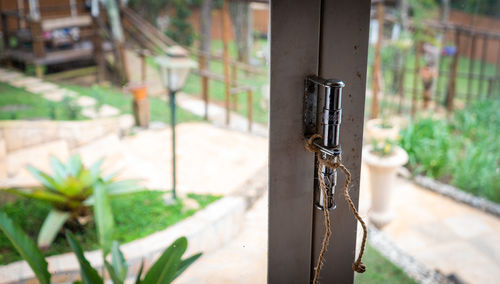 Close-up of metal gate against plants in yard