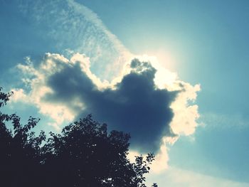 Low angle view of trees against blue sky