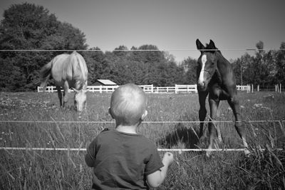 Boy with horses standing in ranch on field