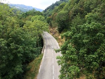 View of old road with trees from a bridge 