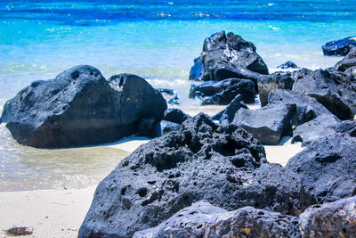 High angle view of rocks on beach