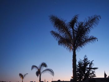 Low angle view of palm trees against clear blue sky