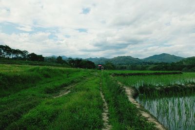Scenic view of landscape against cloudy sky