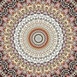 Directly below shot of ceiling