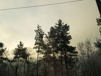 Low angle view of silhouette trees against sky