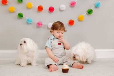 Cute baby boy sitting by dogs against wall during birthday