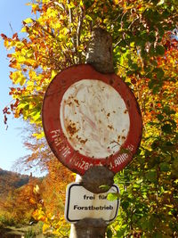 Close-up of information sign hanging on tree