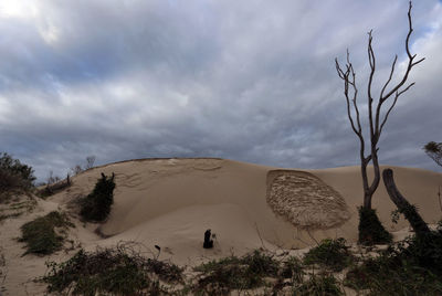 Scenic view of desert against sky