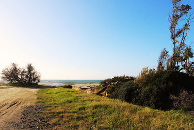 Scenic view of sea against clear sky