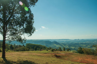 View of meadows and trees in a green valley with mountainous landscape, near pardinho. brasil.