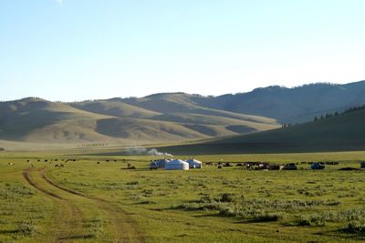 Scenic view of agricultural field against clear sky