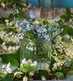 A small bouquet of violets in a glass jar, branches of fruit trees on a wooden table, close-up