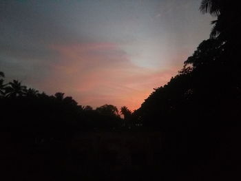 Low angle view of silhouette trees against sky at sunset