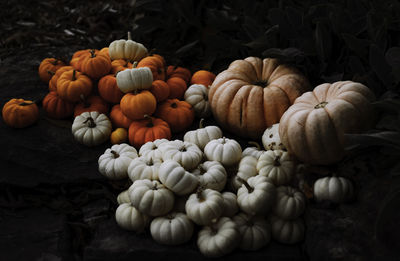 Pile of pumpkins