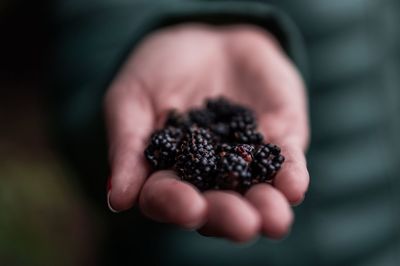 Close-up of hand holding berries