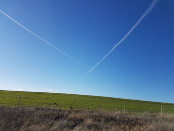 Scenic view of grassy field against blue sky